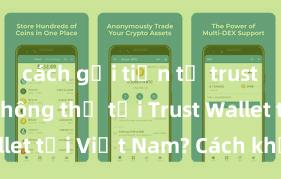 cách gửi tiền từ trust wallet Không thể tải Trust Wallet tại Việt Nam? Cách khắc phục