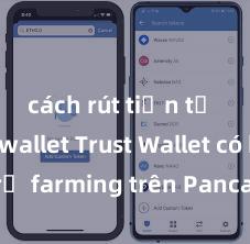 cách rút tiền từ trust wallet Trust Wallet có hỗ trợ farming trên PancakeSwap không?